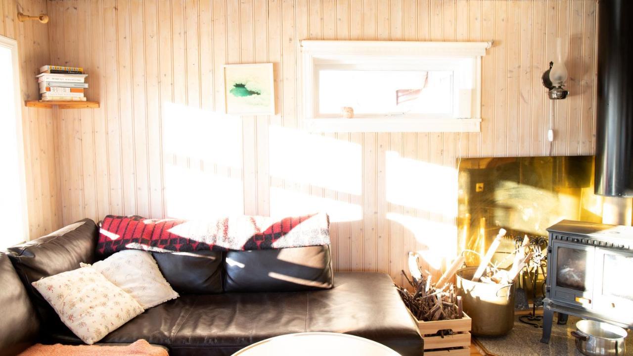 Feriehus Northen Lights Cabin, Riverside, Mountain View *